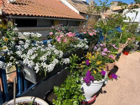 Loft Apartment , La Terrasse Centre Ville D'Arles, Kültér fotó